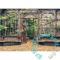 Schmidt 1000 db-os puzzle - Vegetal arch