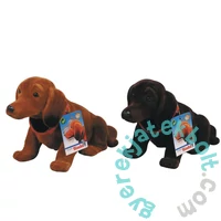 Simba Bólogató fejű tacskó kutya