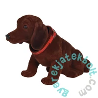 Simba Bólogató fejű tacskó kutya