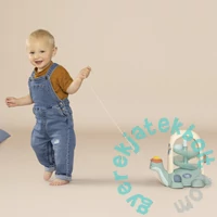 Smoby Kis Húzogatható golyós teknős (7600140310)