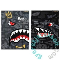 Shark A/4 gumis mappa - kétféle (583301)