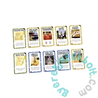 Bang! - kiegészítő paklik (DAV34132)