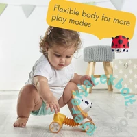 az oroszlán (TL1115900458R)