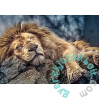 Trefl 1000 db-os puzzle - Alvó oroszlán (10447)