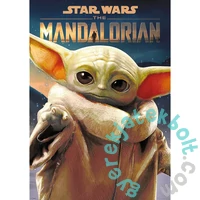 Trefl 1000 db-os Premium Plus puzzle - Star Wars The Mandalorian - Grogu (10885)