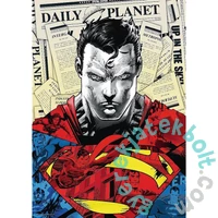 Trefl 1000 db-os Premium Plus puzzle - Superman (10884)