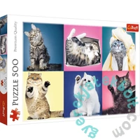 Trefl 500 db-os puzzle - Cicák (37377)