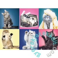 Trefl 500 db-os puzzle - Cicák (37377)