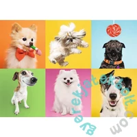 Trefl 500 db-os puzzle - Kutyák (37378)