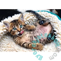 Trefl 1000 db-os puzzle - Vidám cica (10448)