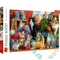 Trefl 1000 db-os puzzle - Cicák a szobában (10555)