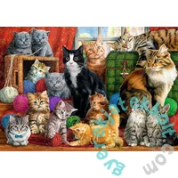 Trefl 1000 db-os puzzle - Cicák a szobában (10555)