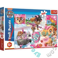 Trefl 100 db-os puzzle - Mancs őrjárat - Skye akcióban (16368)