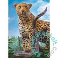 Trefl 500 db-os puzzle - Vad leopárd (37332)