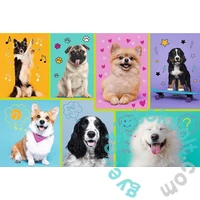Trefl 100 db-os puzzle - A kutyák világa (16421)