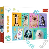 Trefl 100 db-os puzzle - A kutyák világa (16421)