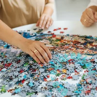 Trefl 1000 db-os Premium Plus puzzle - Titkos kirakó - Joyland (12102)