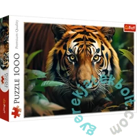 Trefl 1000-db-os Premium Quality puzzle - Tigris (10798)
