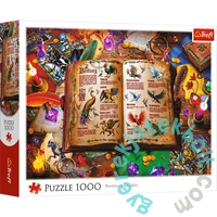 Trefl 1000 db-os puzzle - Fantasztikus madarak atlasza (10980)