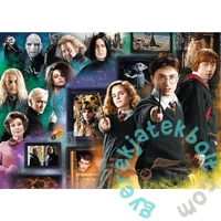 Trefl 1000 db-os puzzle - Harry Potter - Varázslóvilág (10668)