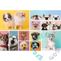 Trefl 160 db-os puzzle - Kutyabarátság (15412)