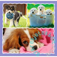 Trefl 3 az 1-ben puzzle (20,36,50 db-os) - Aranyos kutyák (34854)