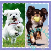 Trefl 3 az 1-ben puzzle (20,36,50 db-os) - Aranyos kutyák (34854)