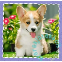 Trefl 3 az 1-ben puzzle (20,36,50 db-os) - Aranyos kutyák (34854)