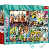 Trefl 4 x 250 db-os puzzle - Mókás állatok (13313)
