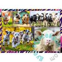 Trefl 4 x 250 db-os puzzle - Mókás állatok (13313)