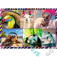 Trefl 4 x 250 db-os puzzle - Mókás állatok (13313)