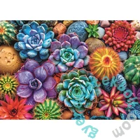 Trefl 1000 db-os puzzle - Színes pozsgások (99307)