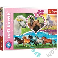 Trefl 200 db-os puzzle - Gyönyörű lovak (13248)