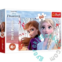 Trefl 60 db-os puzzle - Jégvarázs 2 (17333)