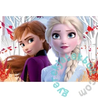 Trefl 60 db-os puzzle - Jégvarázs 2 (17333)