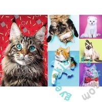 Trefl 1000 db-os puzzle - Boldog macskák