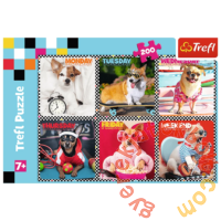 Trefl 200 db-os puzzle - Vicces kutyák (13279)