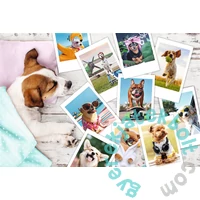 Trefl 300 db-os puzzle - Kutya kalandok (23003)
