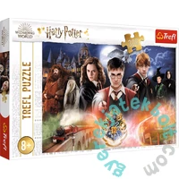 Trefl 300 db-os puzzle - Harry Potter - Varázsvilág (23001)