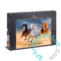 Ulmer 1000 db-os puzzle - Queens of the Desert (0657)