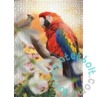 Ulmer 1000 db-os puzzle - Parrot (2477)