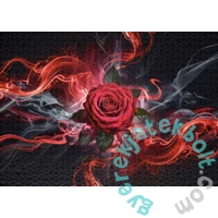 Ulmer 1000 db-os puzzle - Rosen-Glut (5607)