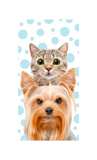 Kutyás cicás törölköző