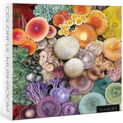 Bboldin 1000 db-os puzzle - Colorful Mushroom (Z-095)