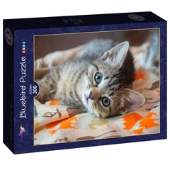 Bluebird 300 db-os puzzle - Kitten (90083)