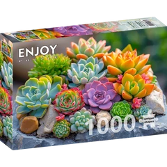 Enjoy 1000 db-os puzzle - Succulents (2277)