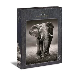 Ulmer 1000 db-os puzzle - The Wanderer (0275)