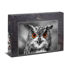 Ulmer 1000 db-os puzzle - Owl (0411)