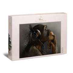 Ulmer 1000 db-os puzzle - Sound of Evolution (0626)