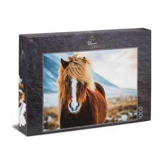Ulmer 1000 db-os puzzle - Miss Winterhair (0640)